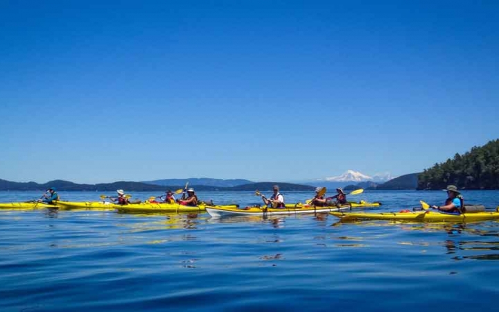 a line of yellow kayaks paddle on calm blue water on an outward bound trip